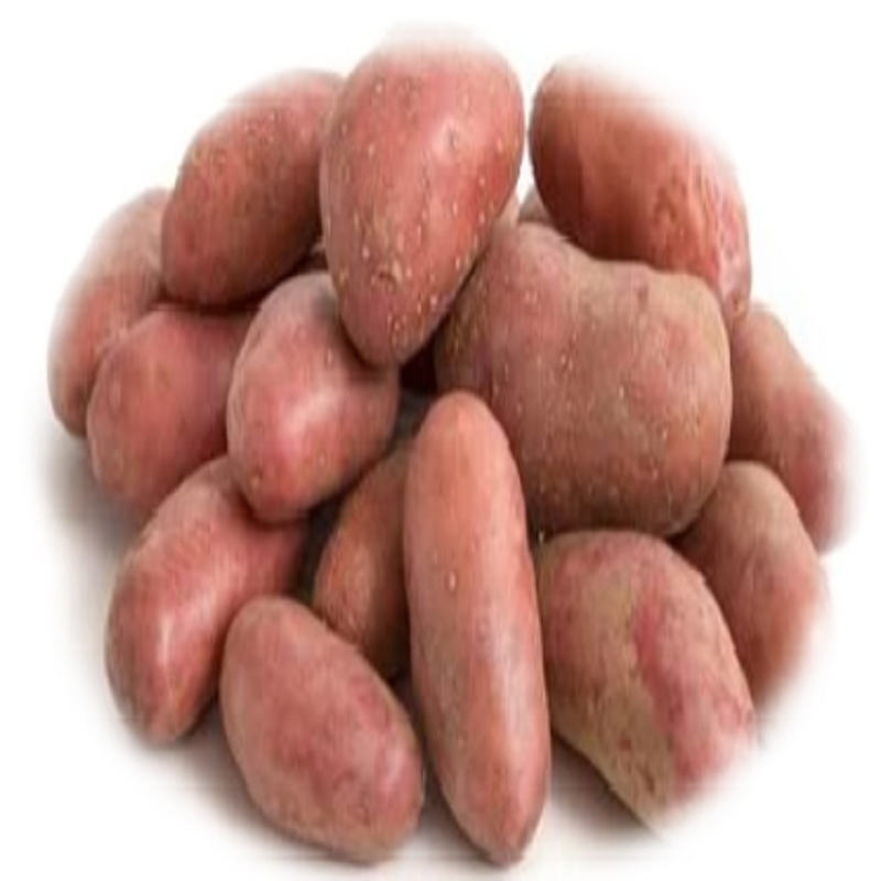 variété de pomme de terre DESIREE