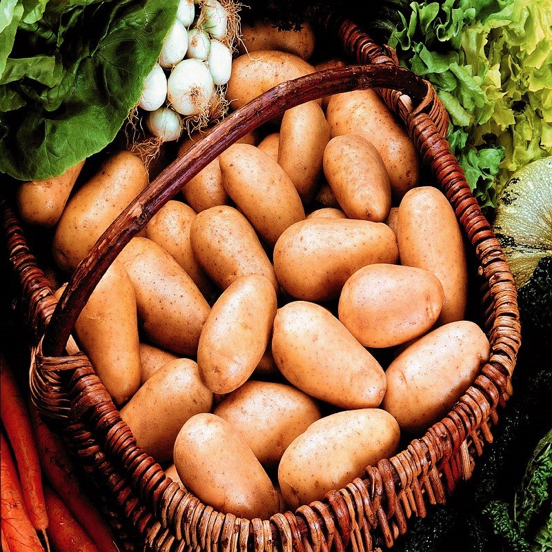 Pommes de terre SAMBA 30kg MOYENNES PETITES