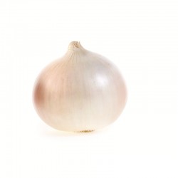 BLANCS