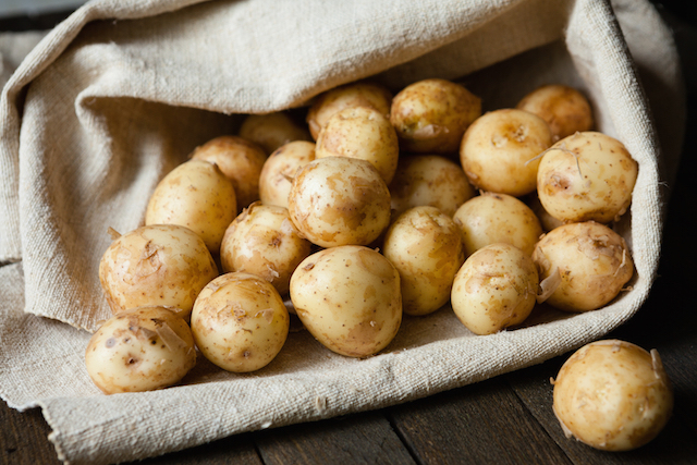 Quand récolter les pommes de terre primeur ?