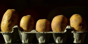 pomme de terre dans boîte à oeufs