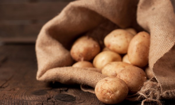 Fécule de pomme de terre : utilisation et recettes - La Fourche