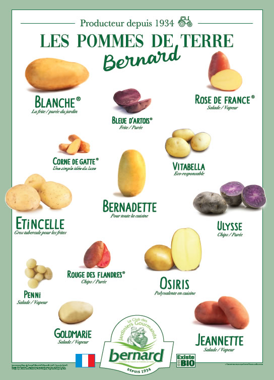 liste varité de pommes de terre