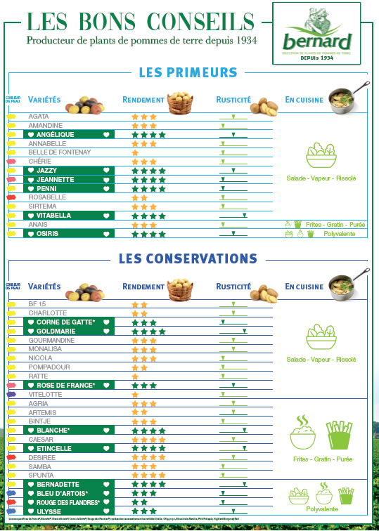 Tableau détaillé plant de pommes de terre