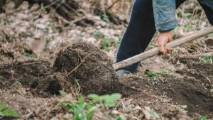 un jardinier travaille la terre pour faire un potager