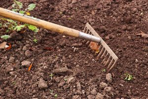 un jardinier ratisse la terre pour la préparer au semis