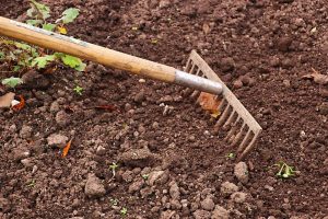 un jardinier ratisse la terre pour la préparer au semis