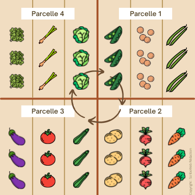 tableau de rotation des cultures avec sous parcelles en lignes