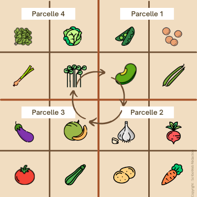 tableau de rotation des cultures avec sous parcelles en carré