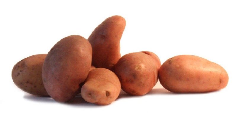 six pommes de terre variété Jeannette