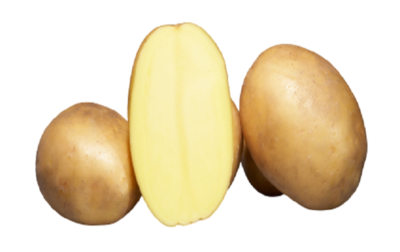trois pommes de terre dont une coupée en deux variété Osiris